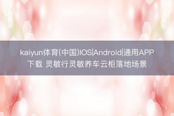 kaiyun体育(中国)IOS|Android|通用APP下载 灵敏行灵敏养车云柜落地场景