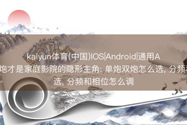 kaiyun体育(中国)IOS|Android|通用APP下载 低音炮才是家庭影院的隐形主角: 单炮双炮怎么选， 分频和相位怎么调