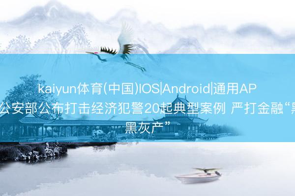 kaiyun体育(中国)IOS|Android|通用APP下载 公安部公布打击经济犯警20起典型案例 严打金融“黑灰产”
