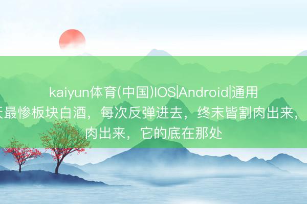 kaiyun体育(中国)IOS|Android|通用APP下载 当天最惨板块白酒，每次反弹进去，终末皆割肉出来，它的底在那处